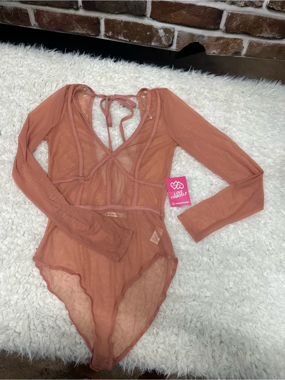 Heart Hips Dusty Rose Mesh Dress